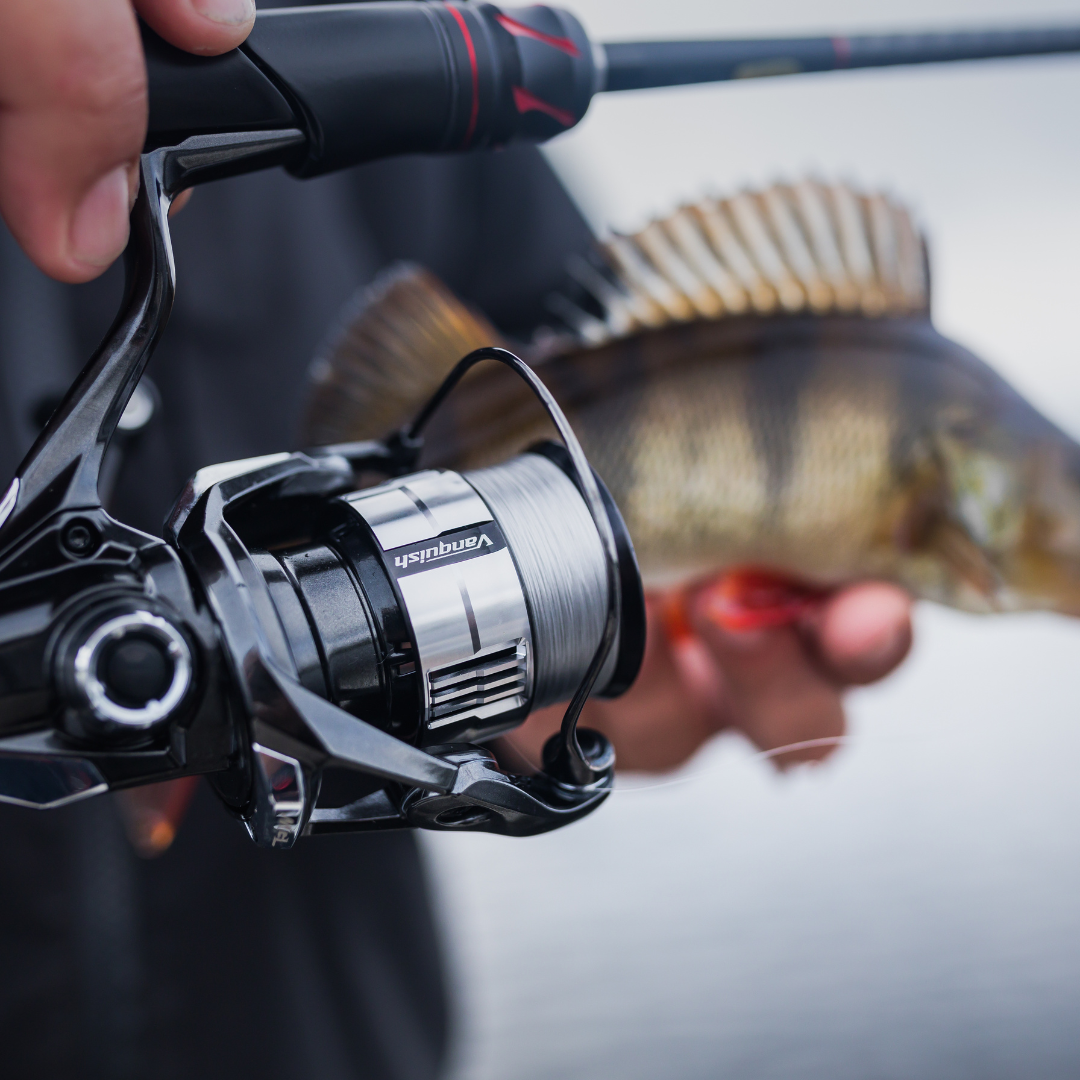 Shimano Vanquish FC C5000 XG