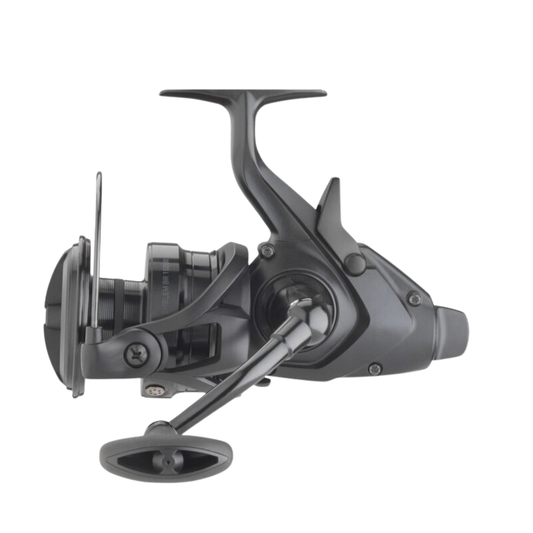 DAIWA 22 Emblem BR 10000