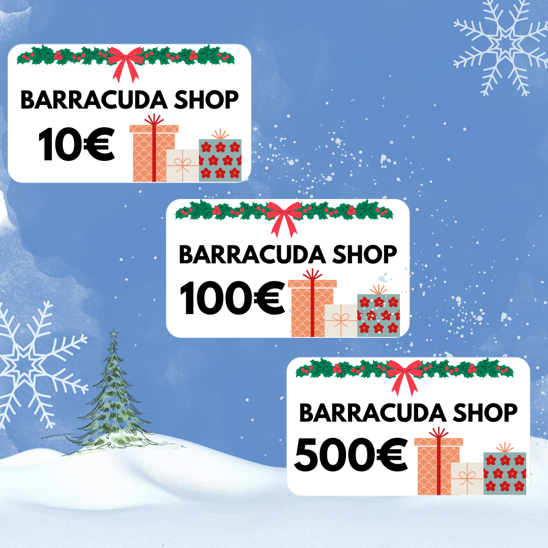 Barracuda Shop Gift Cards in 10€, 100€, and 500€ denominations with festive decorations on a snowy background.